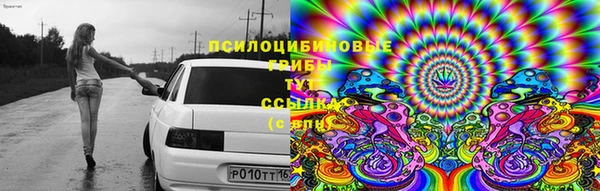 ешки Вяземский