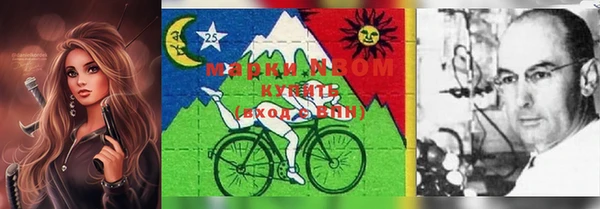 ешки Вяземский